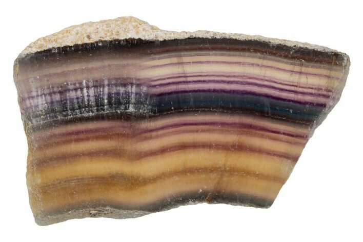 Colorful, Polished Rainbow Fluorite Slab #250497
